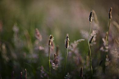 科幻电影风《萨默维尔》11月15日发售 支持中文